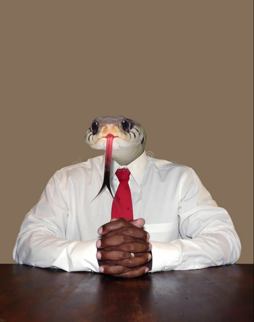 The Weirdest And Funniest Stock Photos You’ve Ever Seen