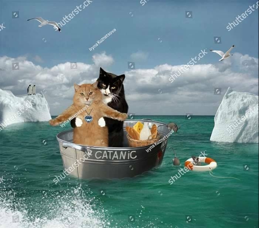 The Weirdest And Funniest Stock Photos You’ve Ever Seen
