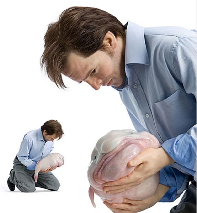 The Weirdest And Funniest Stock Photos You’ve Ever Seen