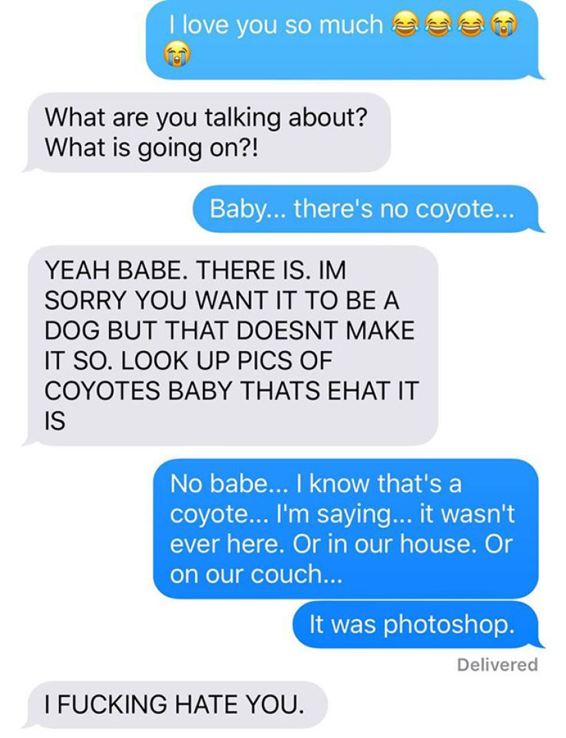 The wife dragged the coyote home and asked her husband if it was possible to leave him