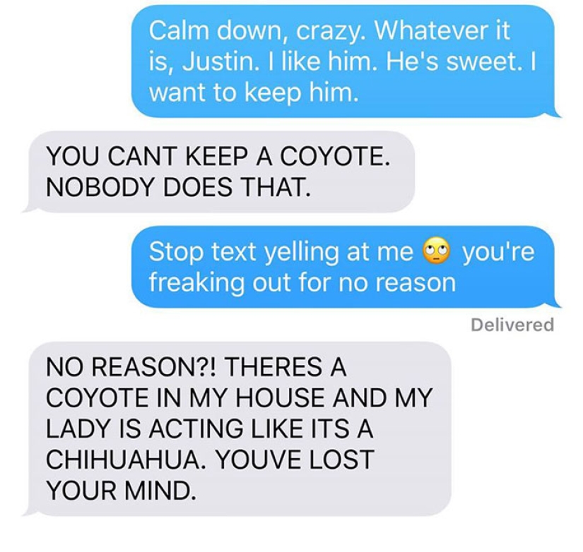 The wife dragged the coyote home and asked her husband if it was possible to leave him