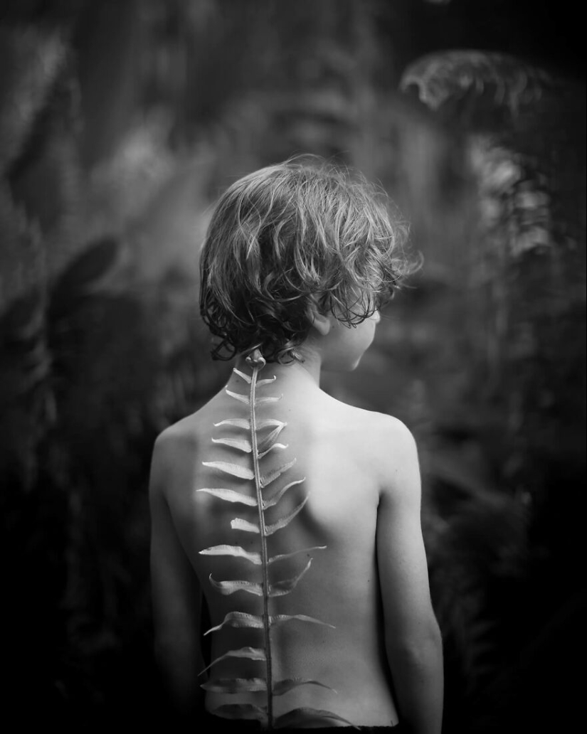 The Winning Photos Of The Contest “Nature” By AAP Magazine Have Just Been Announced, And Here Are The Best 14 Pics The Winning Photos Of The Contest “Nature” By AAP Magazine Have Just Been Announced, And Here Are The Best 14 Pics
