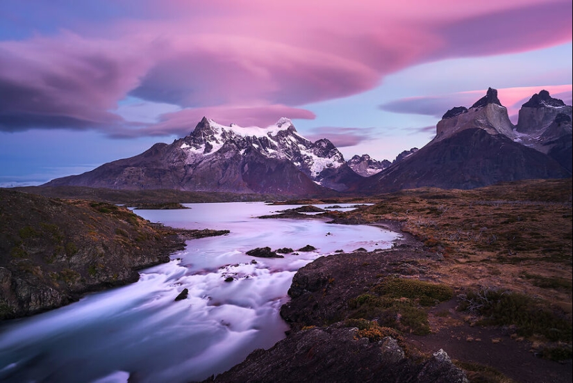 The Winning Photos Of The Contest “Nature” By AAP Magazine Have Just Been Announced, And Here Are The Best 14 Pics The Winning Photos Of The Contest “Nature” By AAP Magazine Have Just Been Announced, And Here Are The Best 14 Pics