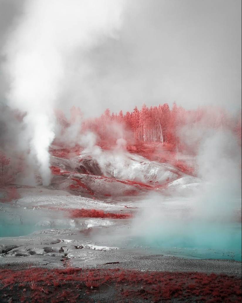 The Winning Photos Of The Contest “Nature” By AAP Magazine Have Just Been Announced, And Here Are The Best 14 Pics The Winning Photos Of The Contest “Nature” By AAP Magazine Have Just Been Announced, And Here Are The Best 14 Pics