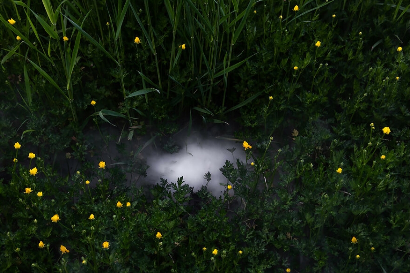 The Winning Photos Of The Contest “Nature” By AAP Magazine Have Just Been Announced, And Here Are The Best 14 Pics The Winning Photos Of The Contest “Nature” By AAP Magazine Have Just Been Announced, And Here Are The Best 14 Pics