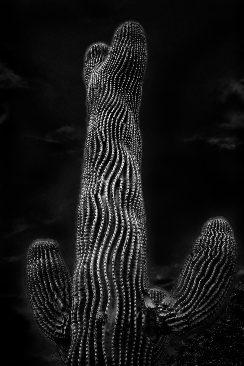 The Winning Photos Of The Contest “Nature” By AAP Magazine Have Just Been Announced, And Here Are The Best 14 Pics The Winning Photos Of The Contest “Nature” By AAP Magazine Have Just Been Announced, And Here Are The Best 14 Pics