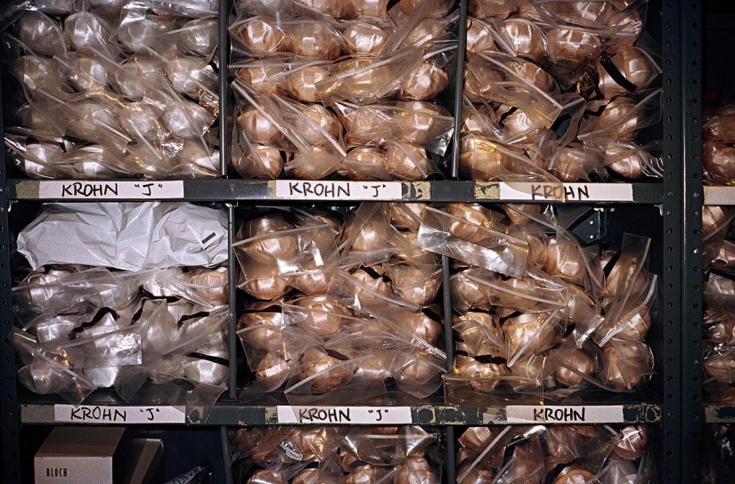 The world of professional ballet through the eyes of Henry Lutweil