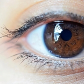 The World's Population By Eye Color