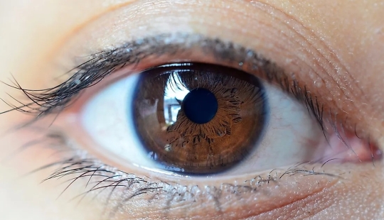 The World's Population By Eye Color The World's Population By Eye Color