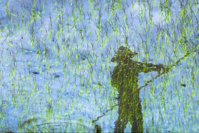 These Beautiful Fine Art Photographs Seek to Modernize Impressionism