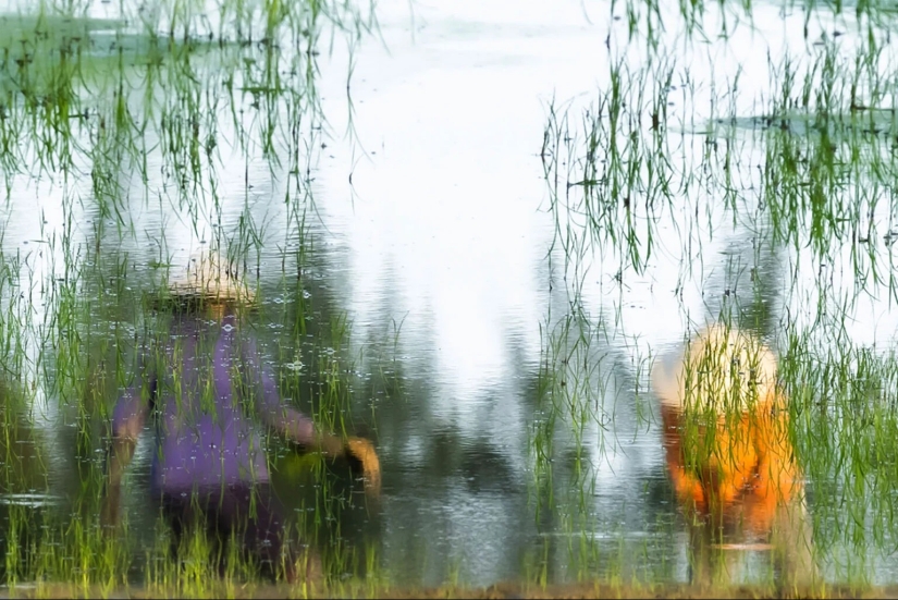 These Beautiful Fine Art Photographs Seek to Modernize Impressionism