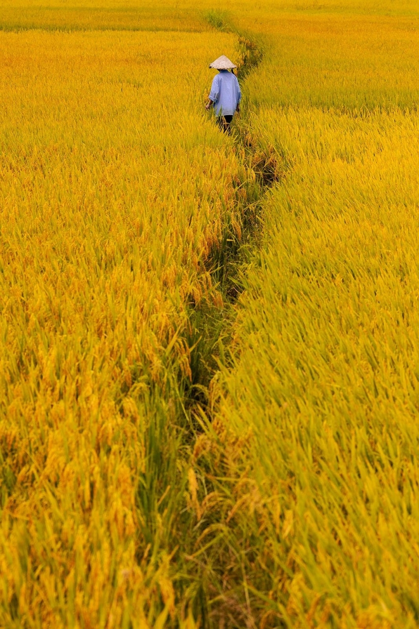 These Beautiful Fine Art Photographs Seek to Modernize Impressionism