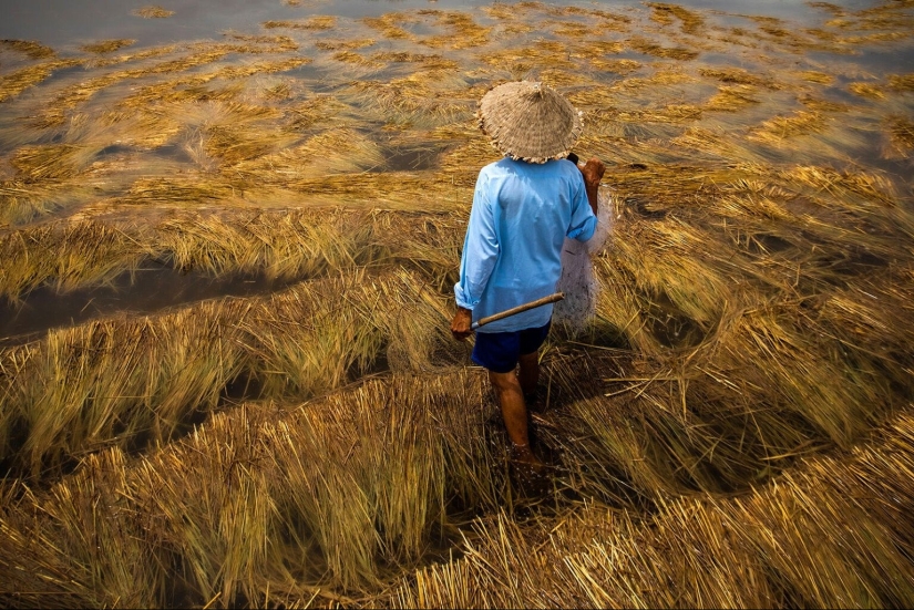These Beautiful Fine Art Photographs Seek to Modernize Impressionism