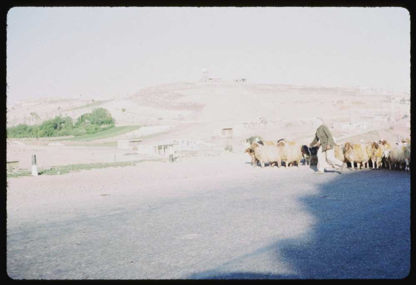 These old photos show what the Syrian capital looked like half a century ago