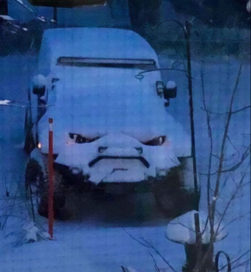 They do everything and do not regret it: 10 photos with insanity