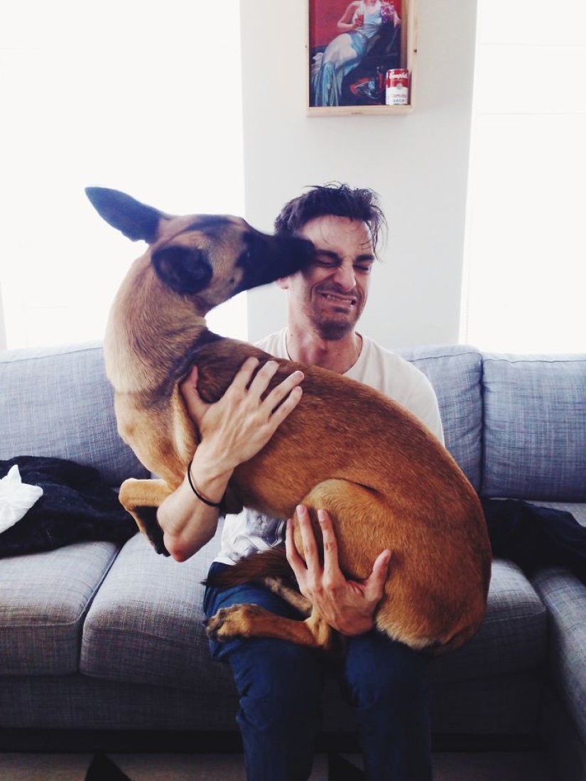 They had a home for the first time: dogs from the shelter on the first day with new owners