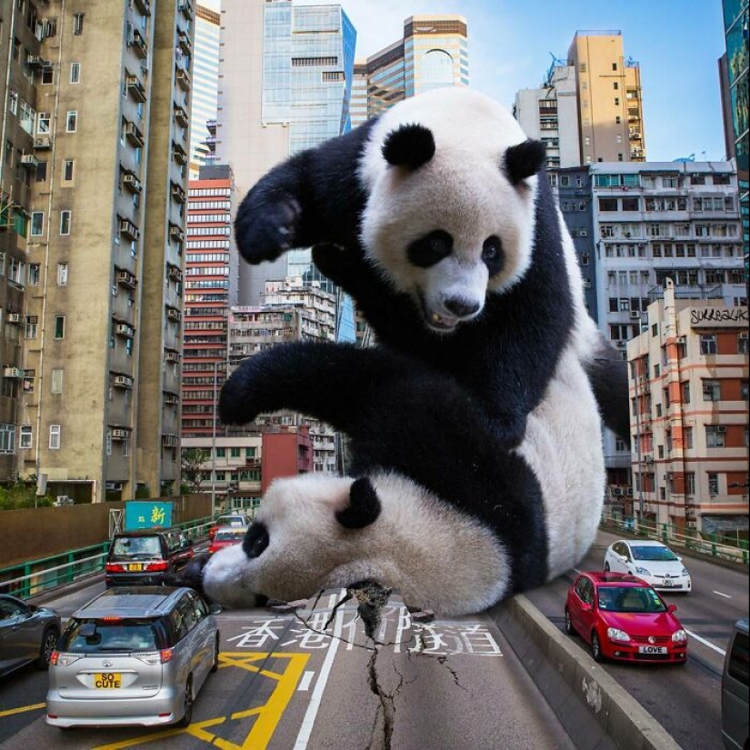 This Artist Reimagined Hong Kong With Giant Animal Residents In His Surreal Depictions