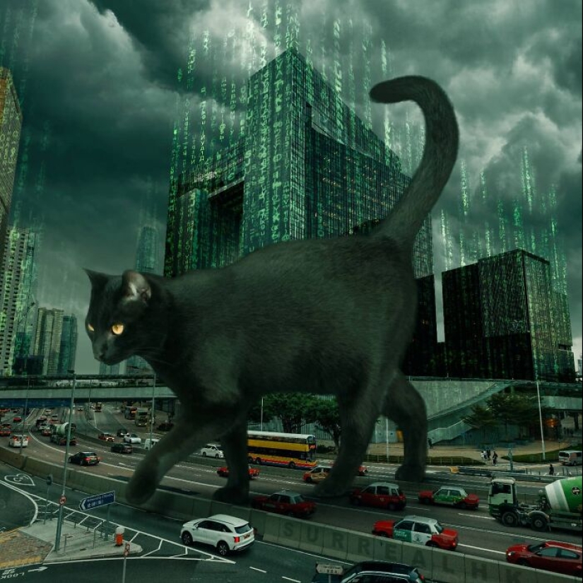 This Artist Reimagined Hong Kong With Giant Animal Residents In His Surreal Depictions