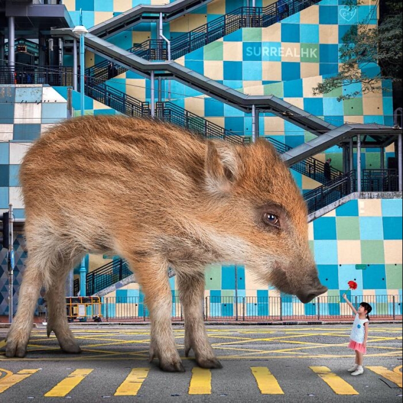 This Artist Reimagined Hong Kong With Giant Animal Residents In His Surreal Depictions