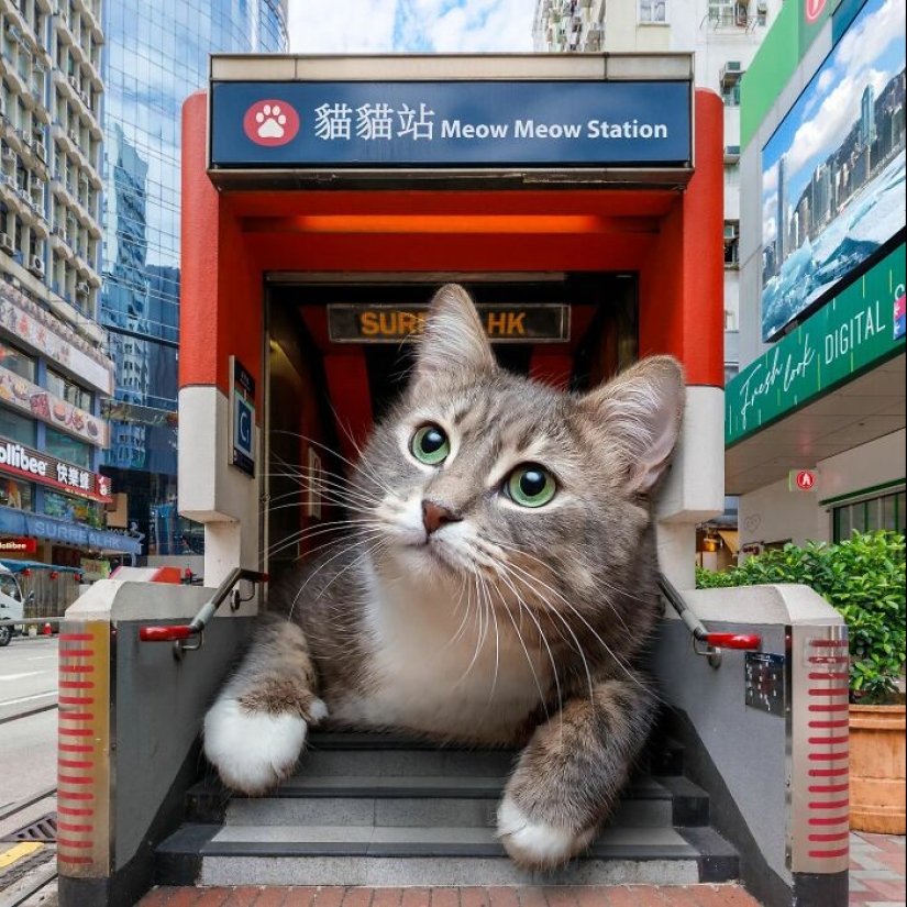 This Artist Reimagined Hong Kong With Giant Animal Residents In His Surreal Depictions