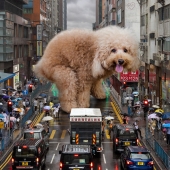 This Artist Reimagined Hong Kong With Giant Animal Residents In His Surreal Depictions This Artist Reimagined Hong Kong With Giant Animal Residents In His Surreal Depictions