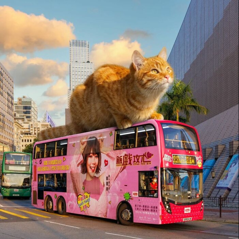 This Artist Reimagined Hong Kong With Giant Animal Residents In His Surreal Depictions