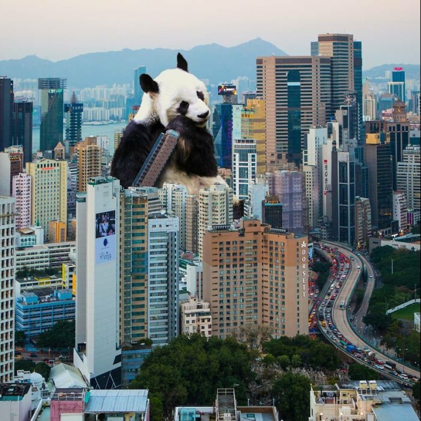 This Artist Reimagined Hong Kong With Giant Animal Residents In His Surreal Depictions