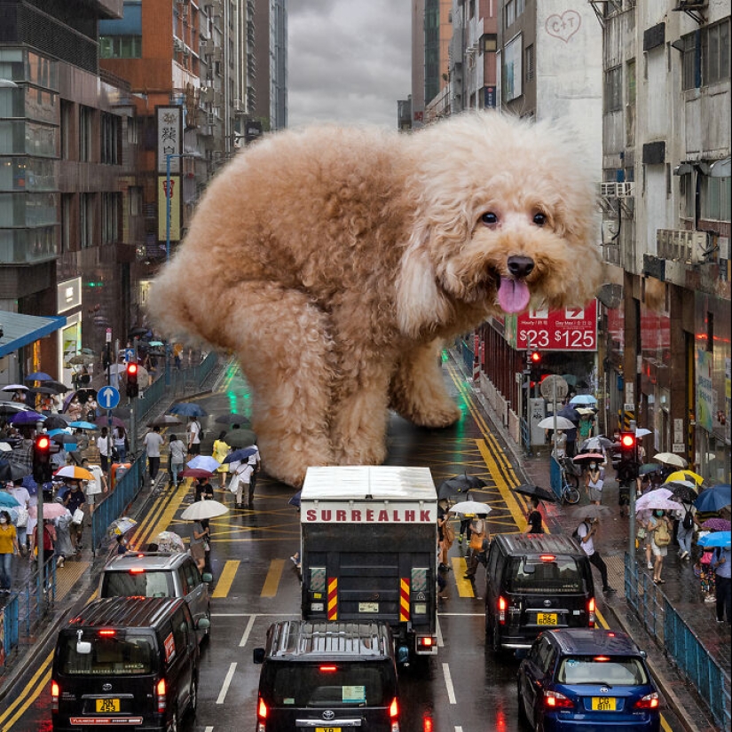 This Artist Reimagined Hong Kong With Giant Animal Residents In His Surreal Depictions