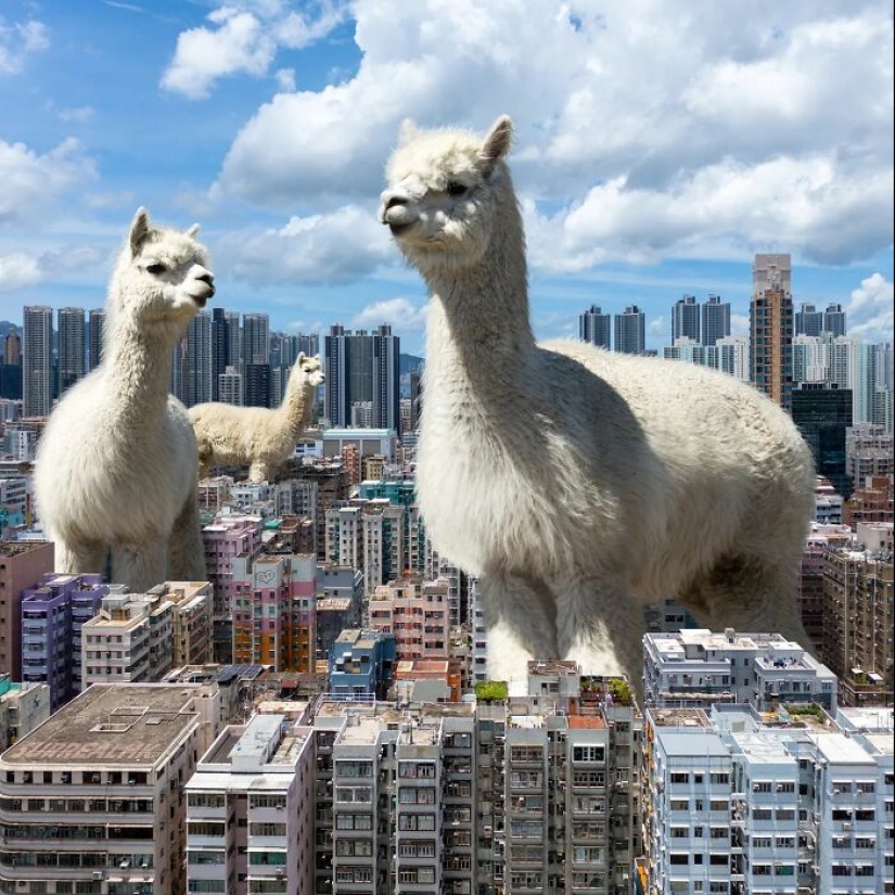 This Artist Reimagined Hong Kong With Giant Animal Residents In His Surreal Depictions