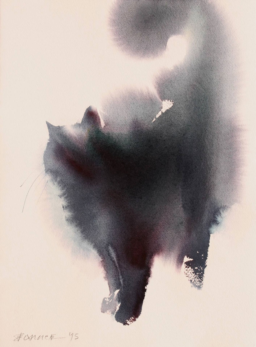 This cat is fluffed up