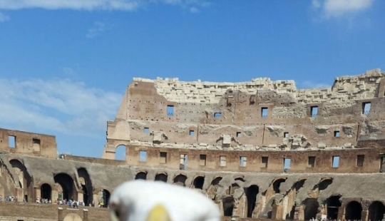 This Facebook Group Is Dedicated To Hilariously Bad Attempts At Photographing Birds