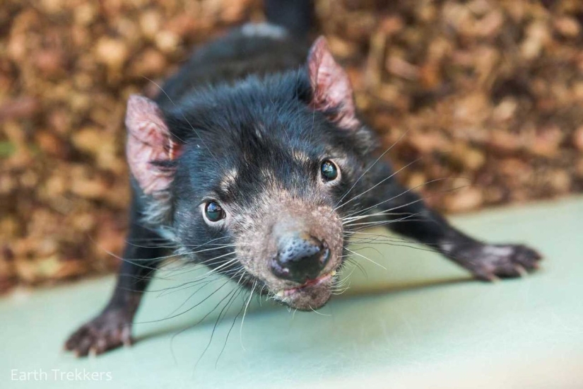 This family sold their house and cars to travel around the world.