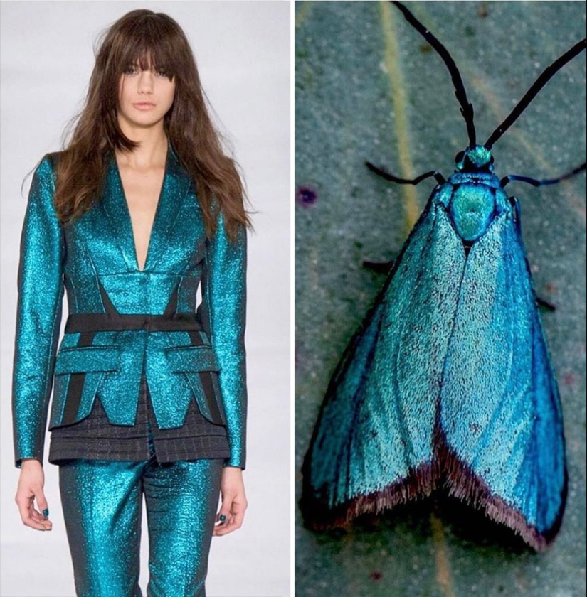 This Instagram Account Shows The Parallels Between Fashion And Nature