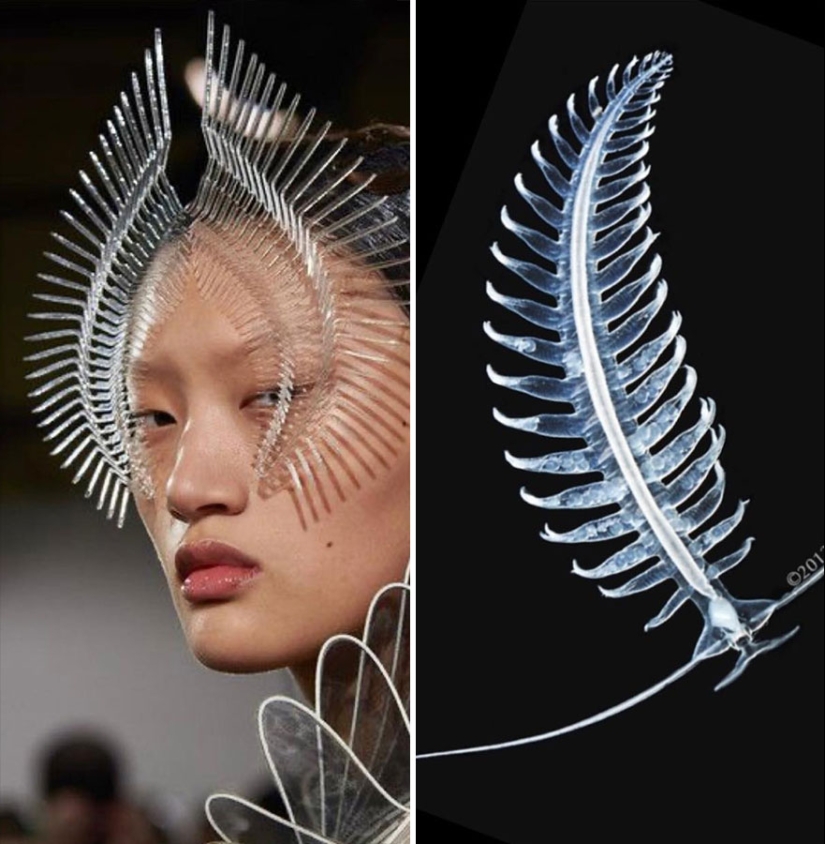 This Instagram Account Shows The Parallels Between Fashion And Nature