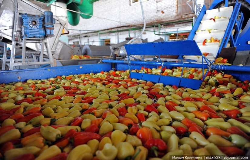 This is how canned goods are made.