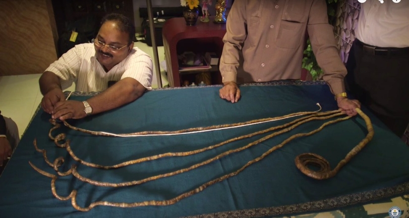 This man hasn't cut his nails in 62 years and just broke a world record This man hasn't cut his nails in 62 years and just broke a world record