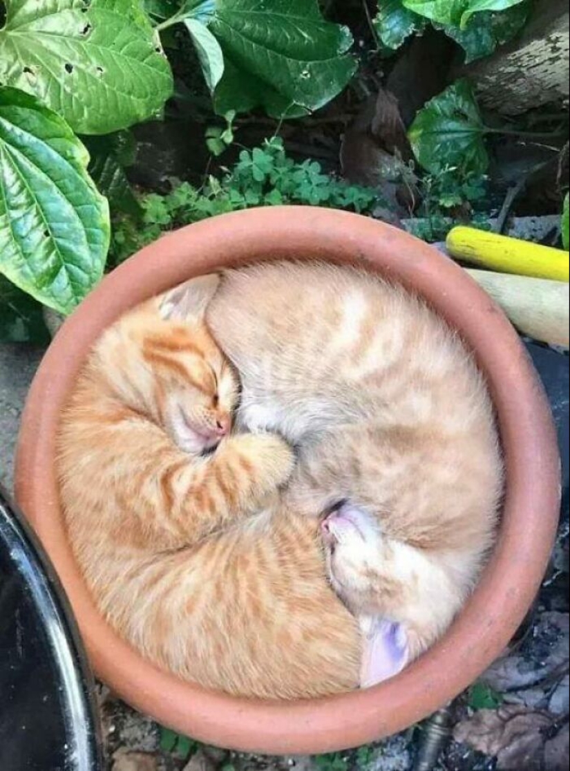 This Online Group Is Dedicated To Things That Are Inexplicably Satisfying, Here Are 24 Of The Best Ones