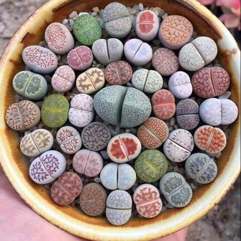 This Online Group Is Dedicated To Things That Are Inexplicably Satisfying, Here Are 24 Of The Best Ones