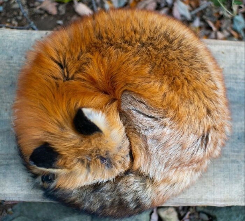 This Online Group Is Dedicated To Things That Are Inexplicably Satisfying, Here Are 24 Of The Best Ones
