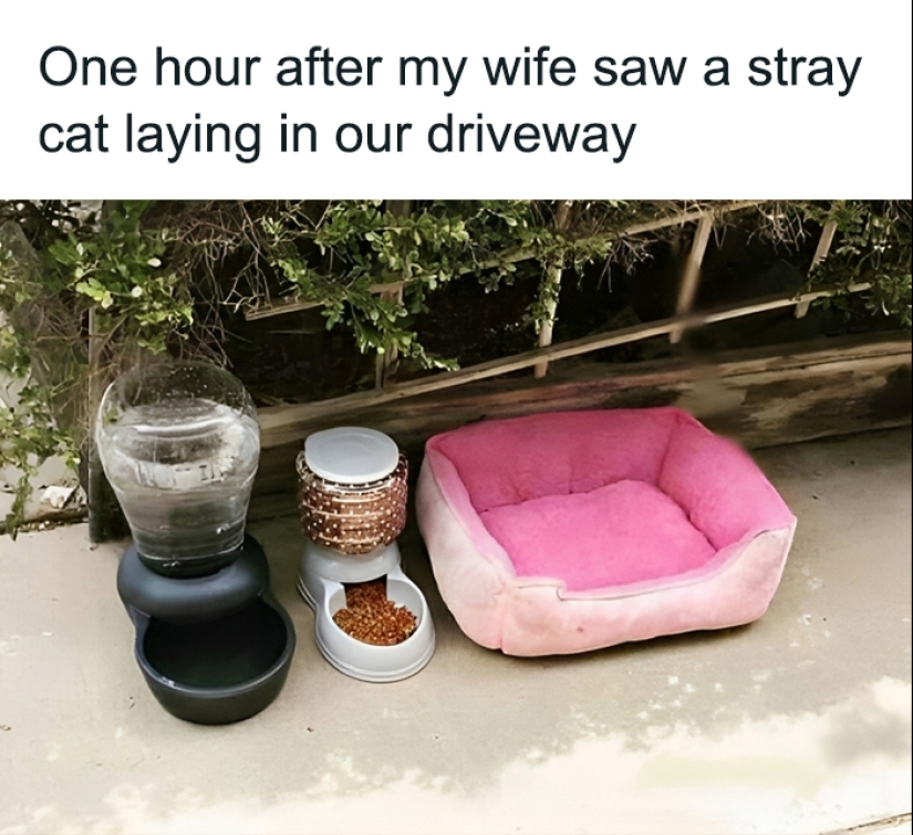This Page Shares The Most Random And Entertaining Pics, And Here’s 10 Of The Best This Page Shares The Most Random And Entertaining Pics, And Here’s 10 Of The Best