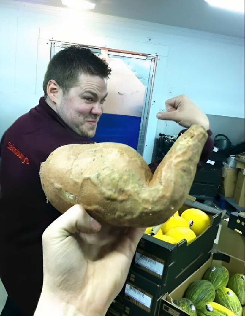 This Page Shares The Most Random And Entertaining Pics, And Here’s 10 Of The Best This Page Shares The Most Random And Entertaining Pics, And Here’s 10 Of The Best