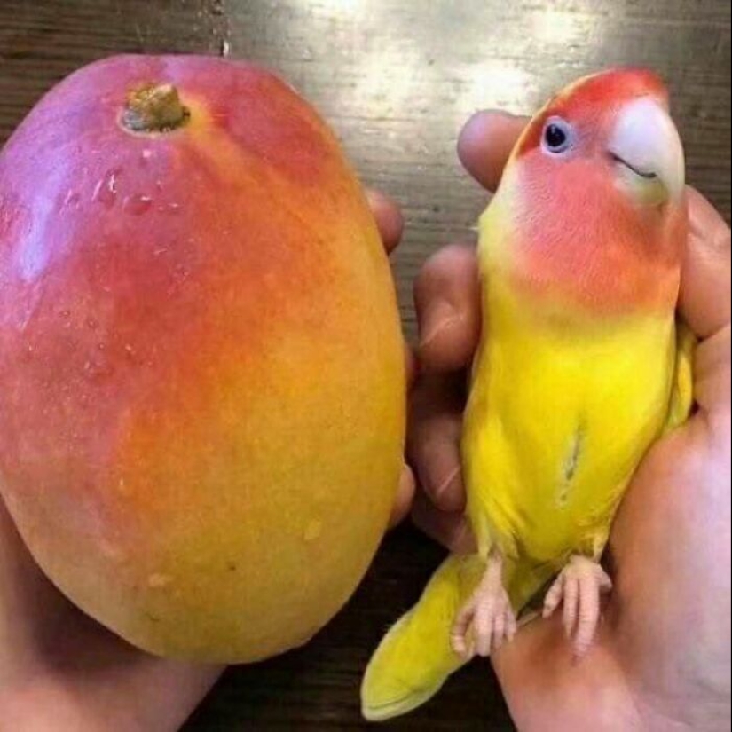 This Page Shares The Most Random And Entertaining Pics, And Here’s 10 Of The Best This Page Shares The Most Random And Entertaining Pics, And Here’s 10 Of The Best