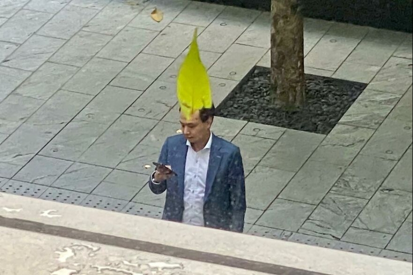 This Photographer Captured Funny Accidental Images While Strolling Through The Streets