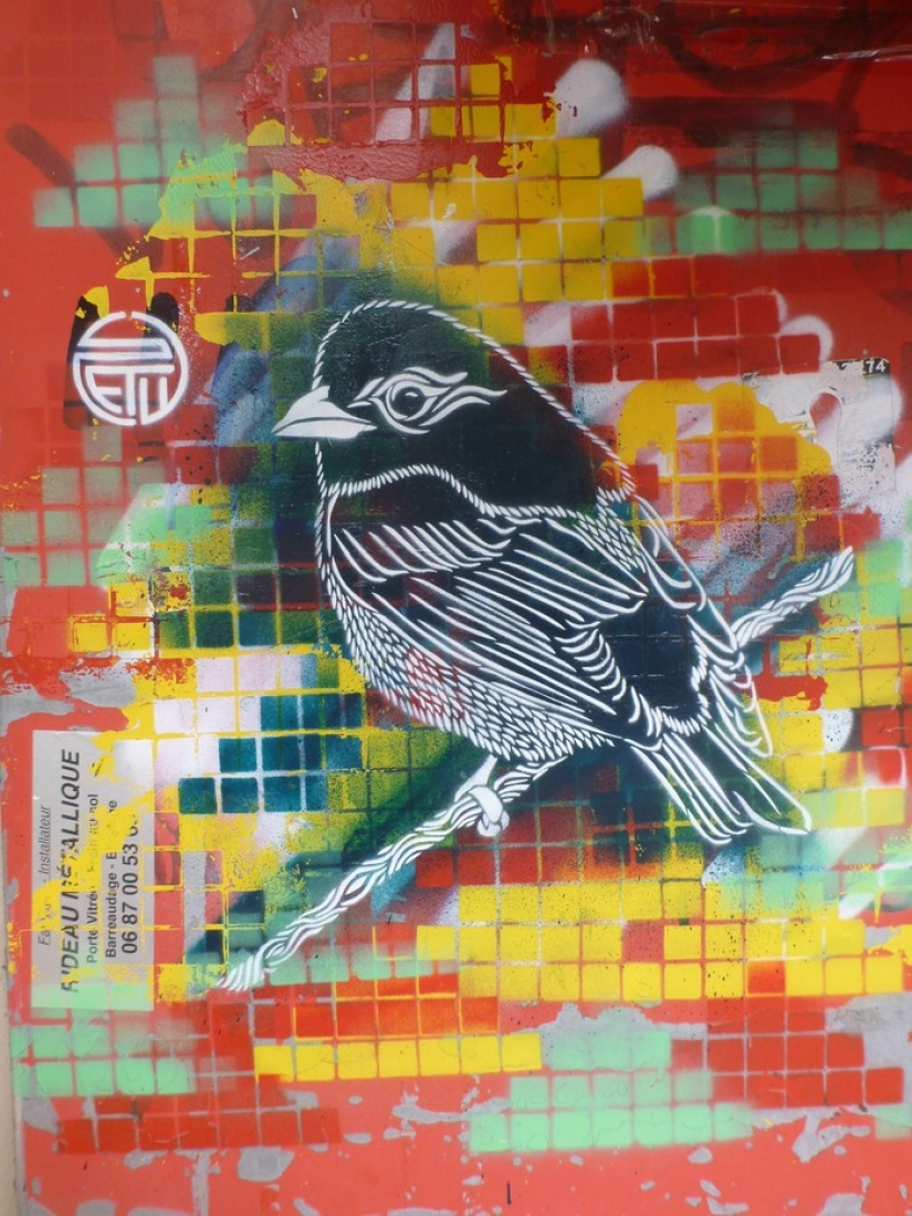 Those who make the world brighter go to Moscow Those who make the world brighter go to Moscow