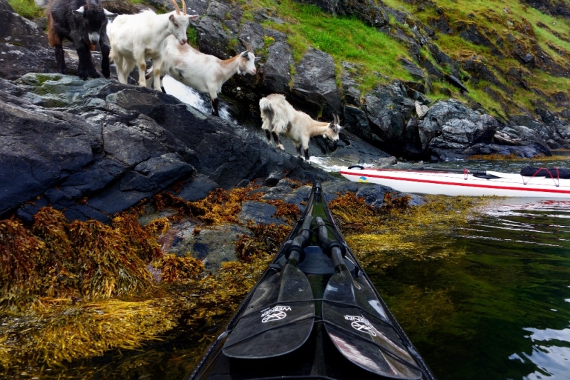 Through Norway by kayak Through Norway by kayak