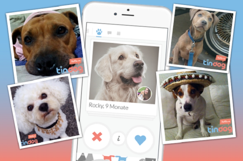 Tinder lanza aplicación de citas para perros
