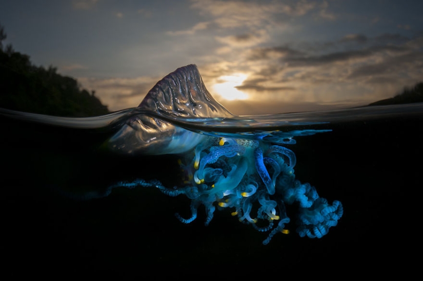 To whom is the wave, to whom the mother is dear