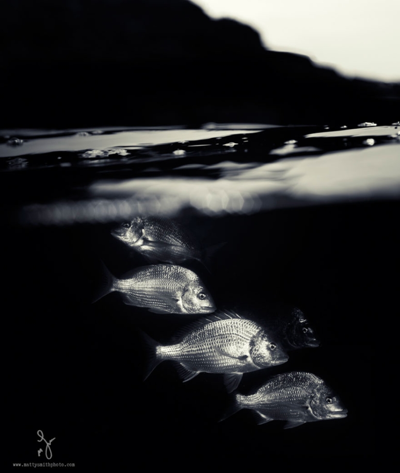To whom is the wave, to whom the mother is dear