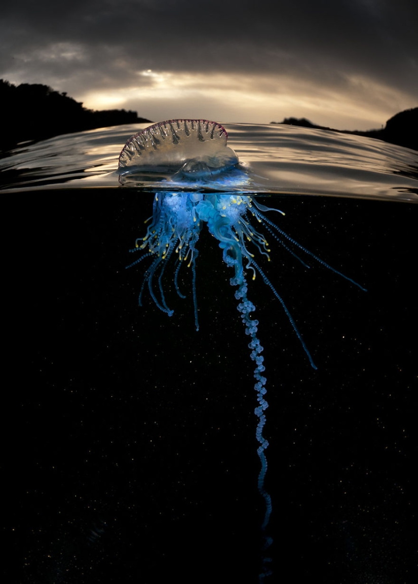 To whom is the wave, to whom the mother is dear
