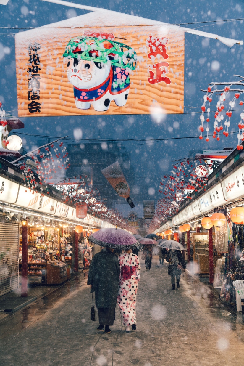 Tokio nevado